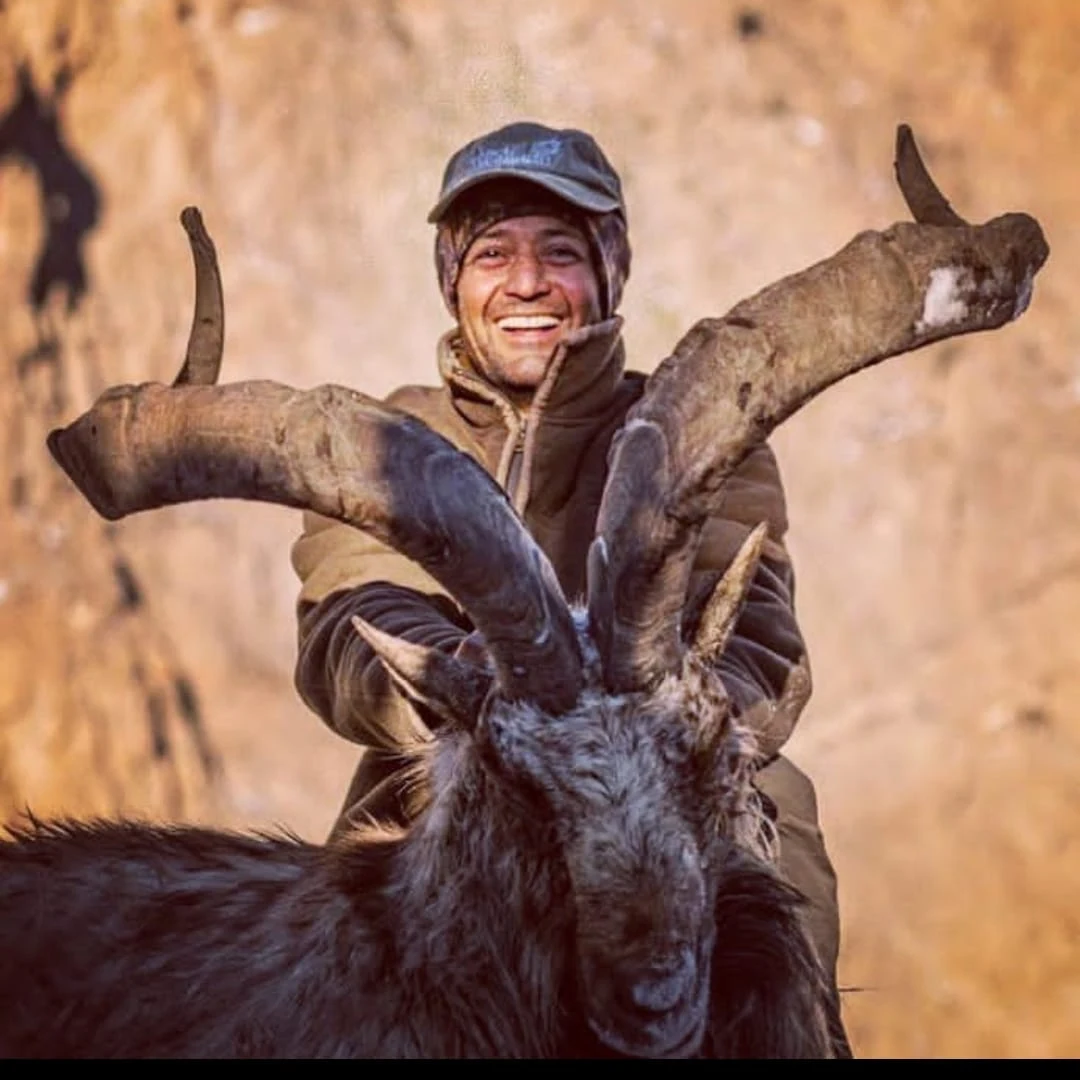 Markhor